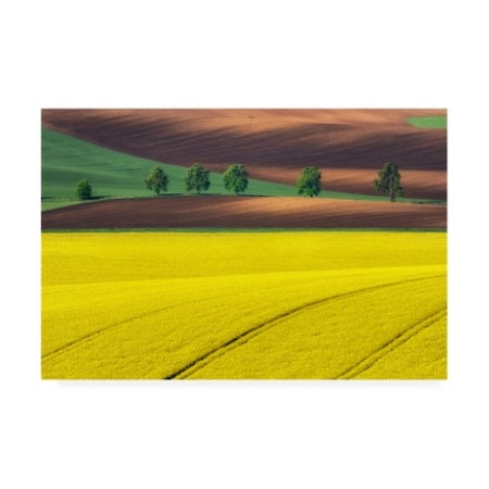 Ales Komovec 'Yellow' Canvas Art,16x24